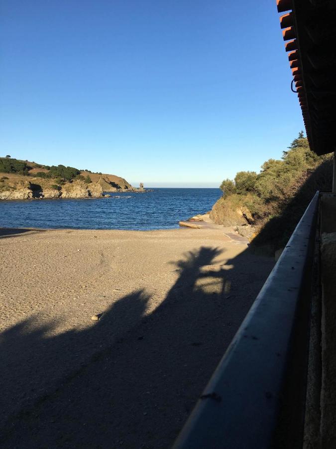 Les Pieds Dand L'Eau Apartment Banyuls-sur-Mer Bagian luar foto