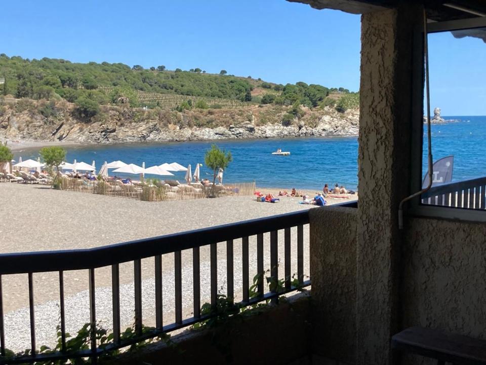 Les Pieds Dand L'Eau Apartment Banyuls-sur-Mer Bagian luar foto