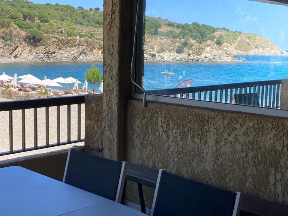 Les Pieds Dand L'Eau Apartment Banyuls-sur-Mer Bagian luar foto